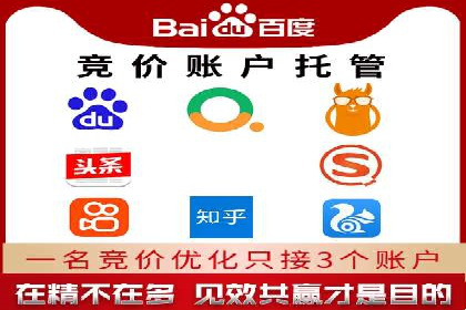 竞价托管实战案例：优化广告投放策略